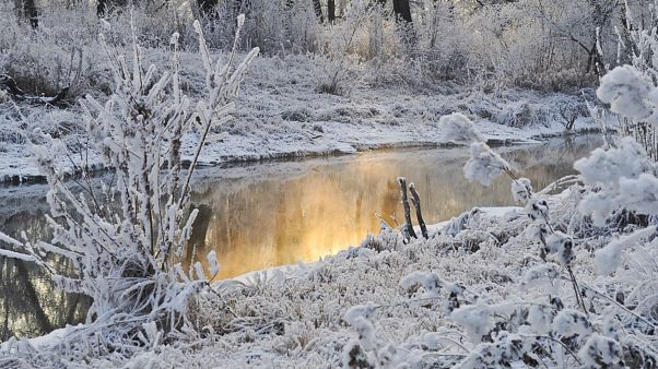 سرمای زودرس با بیش از ۱۲۰ سانتیمتر برف در بخشهایی از آمریکا و کانادا سرمای زودرس با بیش از ۱۲۰ سانتیمتر برف در بخشهایی از آمریکا و کانادا