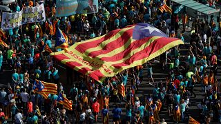 People hold a giant "Estelada" (Catalan separatist flag) at a rally during Catalonia's national day 'La Diada' in Barcelona, Spain, September 11, 2019.