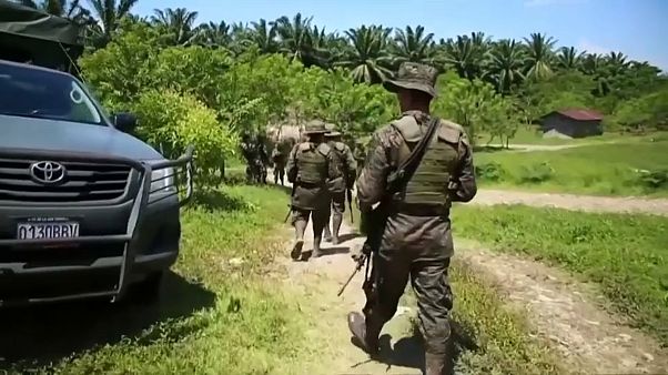 Guatemala destruye más de 1,5 millones de plantas de coca Guatemala destruye más de 1,5 millones de plantas de coca