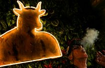 افتتاح اولین کافه استعمال ماری‌جوانا در هالیوود