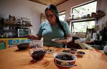 Κόστα Ρίκα: Ένα θρεπτικό γεύμα από έντομα!