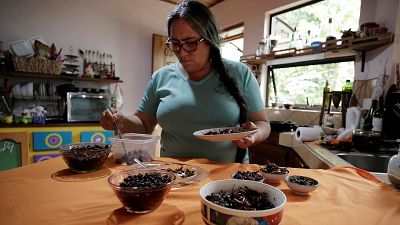 زیست شناس اهل کاستاریکا تغذیه با حشرات را جانشین مصرف پروتئین حیوانی کرد
