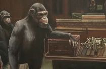 Átruházott parlament - árverésen Banksy festménye