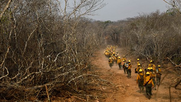 Bolivia empieza a controlar el fuego según las autoridades Bolivia empieza a controlar el fuego según las autoridades