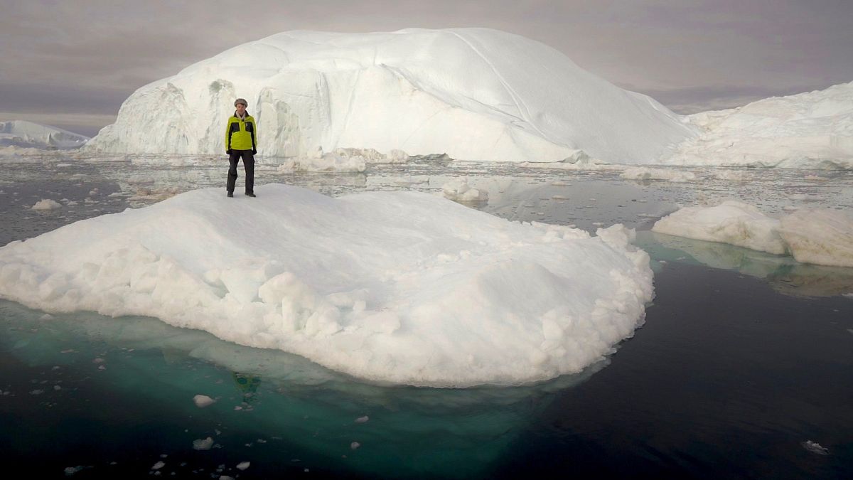 Umweltschutz in der Arktis – Unterstützung der deutschen