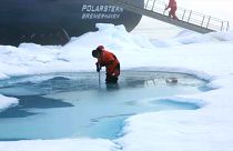 Térdig gázolnak a kutatók a vízben, annyira felolvadt a sarkvidék jege