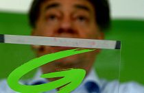 WERNER KOGLER, AZ OSZTRÁK ZÖLDEK LISTAVEZETŐJE