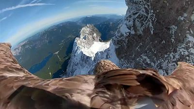 Eagle flight footage to show Europe glacier reduction