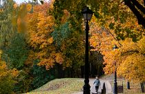 Borús, esős idő lesz az első októberi hétvégén