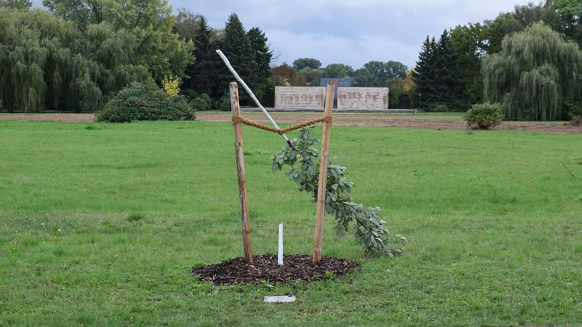 Almanya'da ırkçı NSU örgütünün ilk kurbanı Enver Şimşek anısına dikilen ağaca saldırı