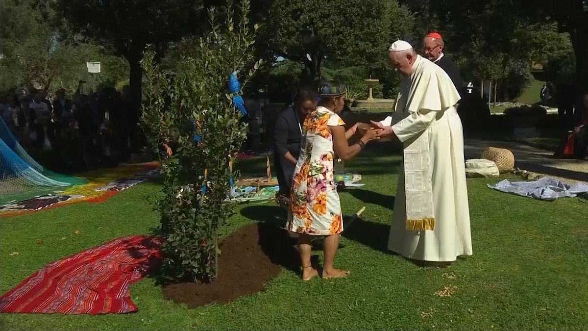 Amazóniai őslakosokkal ültetett fát a pápa