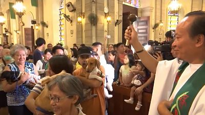 Filipinler'de 4 Ekim Dünya Hayvanlar Günü'nde evcil hayvanlar kilisede kutsandı