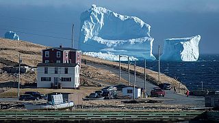 Trump Grönland Adası’nı neden satın almak istiyor?