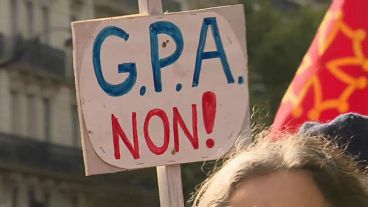 Paris: Zehntausende gegen künstliche Befruchtung bei lesbischen Paaren