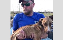 'Mucize' adlı köpek 4 hafta sonra enkaz altından kurtarıldı