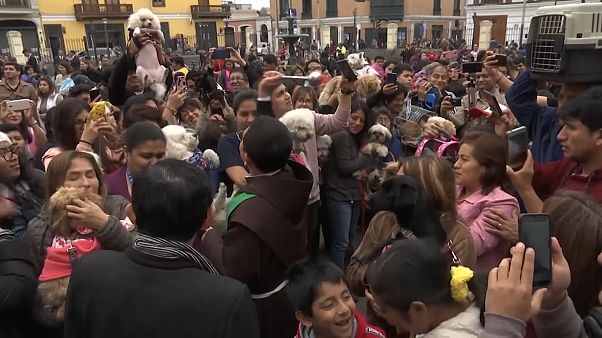 A Lima, nella chiesa di San Francesco, la benedizione degli animali A Lima, nella chiesa di San Francesco, la benedizione degli animali