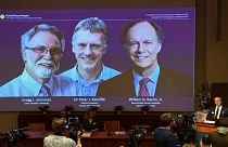 تتويج كيلين راتكليف وسيمنزا بجائزة نوبل للطب لعام 2019