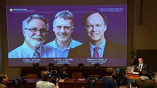 تتويج كيلين راتكليف وسيمنزا بجائزة نوبل للطب لعام 2019
