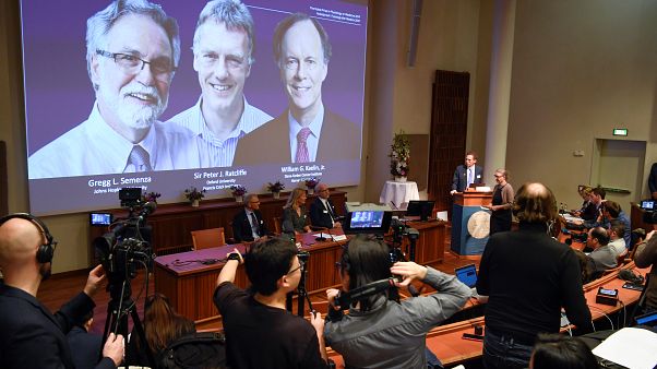 Nobel Tıp Ödülü bu yıl William Kaelin, Peter Ratcliffe ve Gregg Semenza'ya verildi Nobel Tıp Ödülü bu yıl William Kaelin, Peter Ratcliffe ve Gregg Semenza'ya verildi