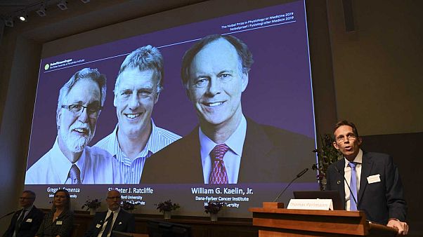 Le Nobel de médecine 2019 attribué à W. Kaelin, G. Semenza et P. Ratcliffe Le Nobel de médecine 2019 attribué à W. Kaelin, G. Semenza et P. Ratcliffe