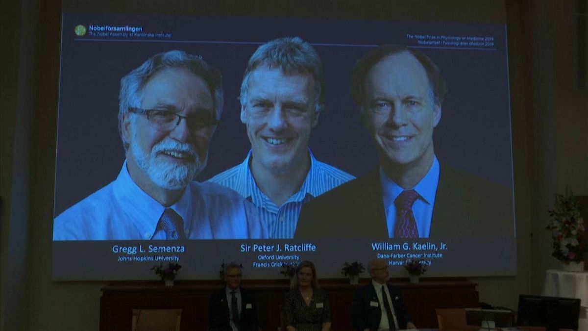 Нобелевская премия по медицине-2019:  Келин,  Рэтклиф и Семенза