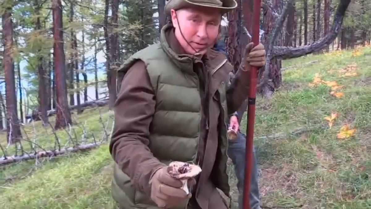 Outdoor-Geburtstag: Kremlchef Putin sammelt Pilze und besteigt 2000er