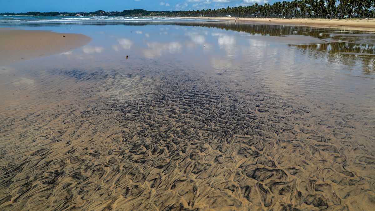 A brazil elnök szerint külföldi olaj szennyezi az óceánt