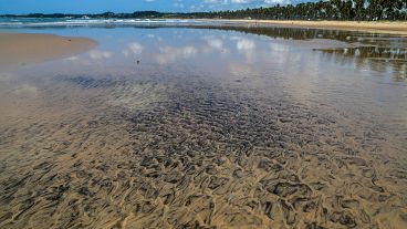 Brasile: la chiazza di petrolio si estende a 132 spiagge