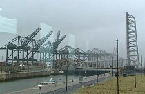 Las empresas de logística del puerto de Amberes se preparan para un Brexit sin acuerdo