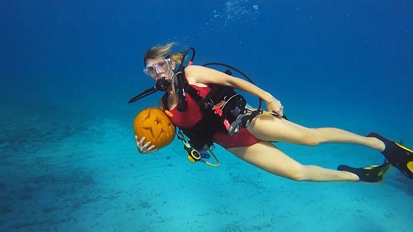 Unterwasser-Kürbisschnitzwettbewerb im Atlantik Unterwasser-Kürbisschnitzwettbewerb im Atlantik