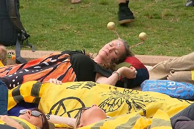 Méhnek öltözött tüntetők