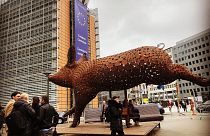 Brüksel'de "hayvanların kafeste tutulmasına hayır" protestosu