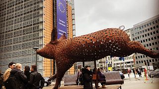 Brüksel'de "hayvanların kafeste tutulmasına hayır" protestosu