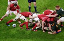 ЮАР вышла в четвертьфинал Кубка мира по регби