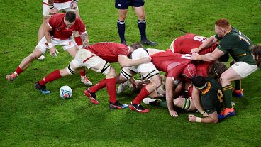 ЮАР вышла в четвертьфинал Кубка мира по регби ЮАР вышла в четвертьфинал Кубка мира по регби