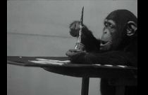 Congo, la patte abstraite prisée des collectionneurs