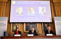 جان گودایناف، استنلی ویتینگهام و آکیرا یوشینو مشترکاً برندۀ نوبل شیمی شدند