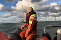 I guerrieri dell'ambiente approdano in Belgio