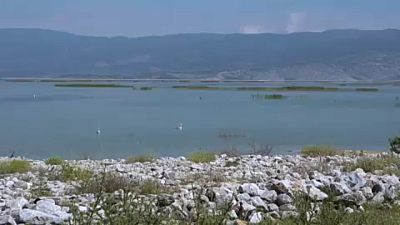 Environmental restoration of Lake Karla revives Greek wildlife and locals