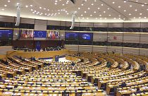 Avrupalı parlamenterler: Türkiye'nin Suriye harekatı Erdoğan, Trump ve AB için bir dönüm noktası