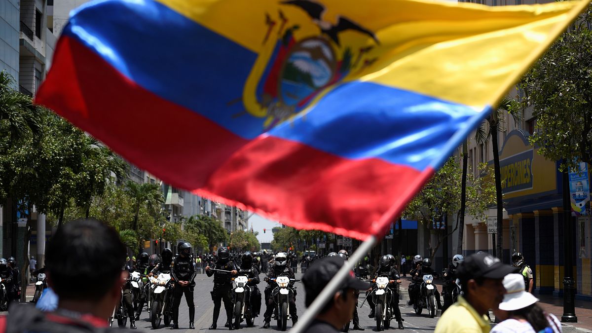 Demonstrators wave the national flag while facing riot police during protests against Ecuador's President Lenin Moreno's austerity measures