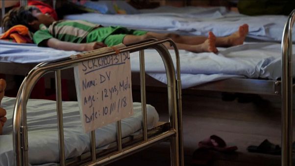 La batalla contra la malaria, lenta pero segura La batalla contra la malaria, lenta pero segura