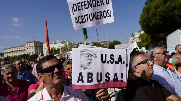 Los olivareros españoles en pie de guerra contra los aranceles Los olivareros españoles en pie de guerra contra los aranceles