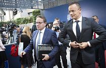 Macaristan Dışişleri Bakanı Peter Szijjarto ve AB Daimi Temsilcisi Oliver Varhelyi