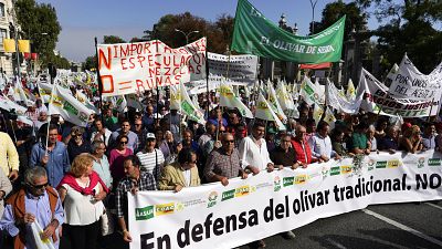 Olívaolaj-termelők tüntettek Madridban az amerikai védővámok ellen