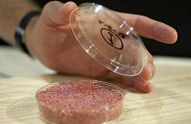 تولید گوشت مصنوعی برای نخستین بار در فضا