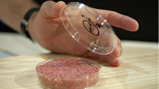 تولید گوشت مصنوعی برای نخستین بار در فضا