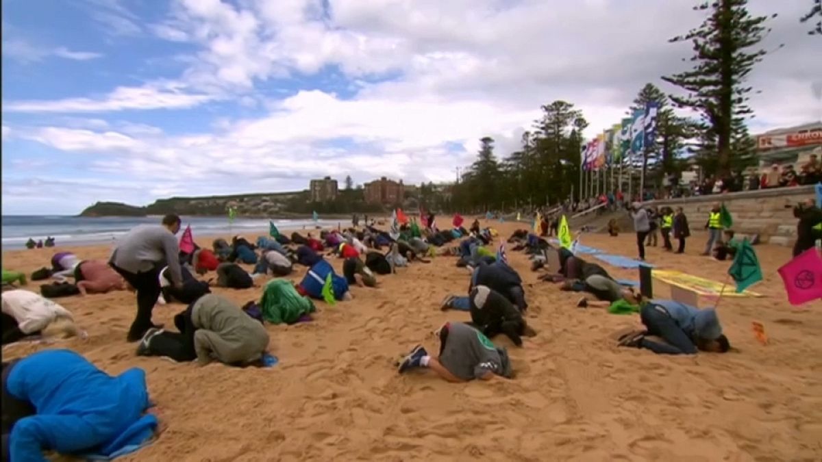 Экоактивисты прячут голову в песок 
