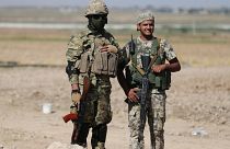 Siria: quante armi l'Europa ha fornito alla Turchia?