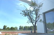 Ouverture du premier crématorium de Grèce